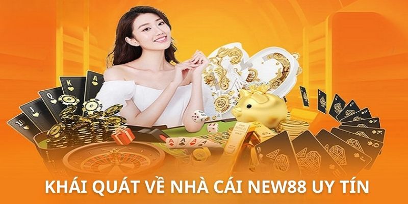 Đôi nét về NEW88 