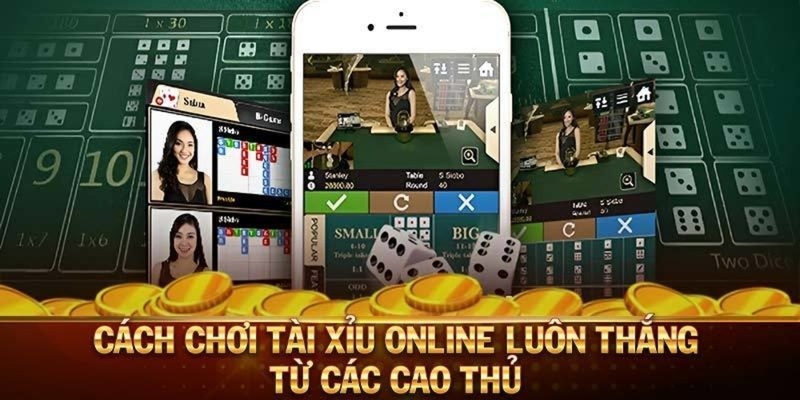 Hướng dẫn cách chơi tài xỉu cho newbie