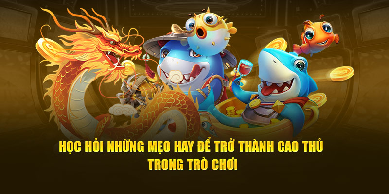 Học hỏi những mẹo hay để trở thành cao thủ trong trò chơi